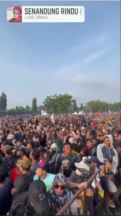 NEW PALAPA #PKB PEKALONGAN