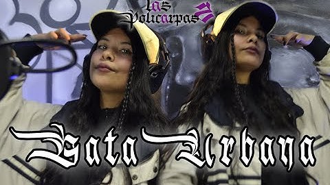 @gataurbanarapbogota6884 / El Ingrediente Principal / Las Policarpas 2