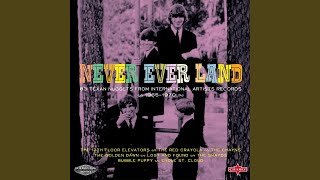 Tried to Hide (2009 Walt Andrus Stereo Remaster)