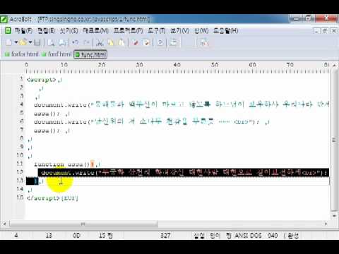 싱싱해 서기의 자바스크립트 강의 #9   함수 제작하기