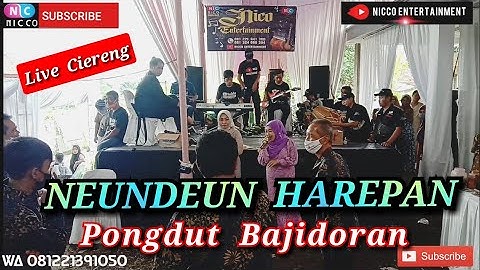 NEUNDEUN HAREPAN BAJIDORAN NICO ENTERTAINMENT