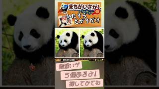 まちがい探し!#初見さん大歓迎 #まちがいさがし #ゲーム実況 #まるうた屋 #games #shorts #切り抜き #アーカイブ #ライブ配信