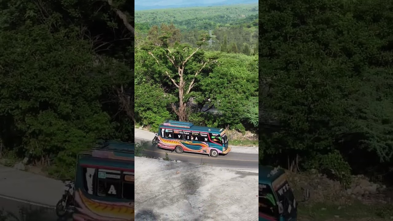 TRANSTIMORRAYA #automobile #travel #busmania 