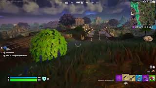 Fornite...en vivo!!!!