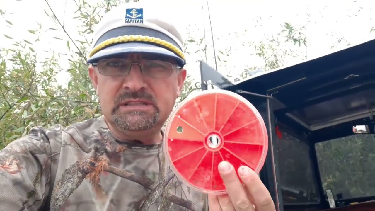 Căsuța coropisnitelor