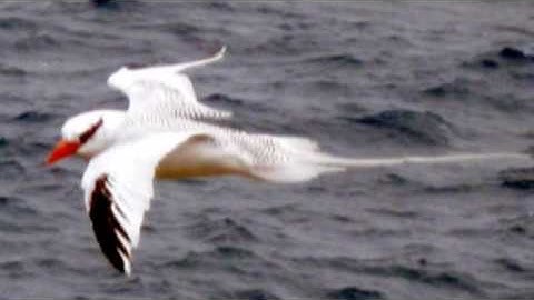 Guiding in the Galapagos Part 1