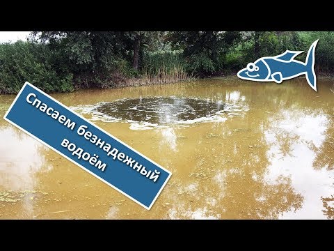 Видео: Как очистить водоём. Устанавливаем донный аэратор. Часть 1