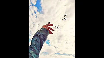 رايحين على فين 