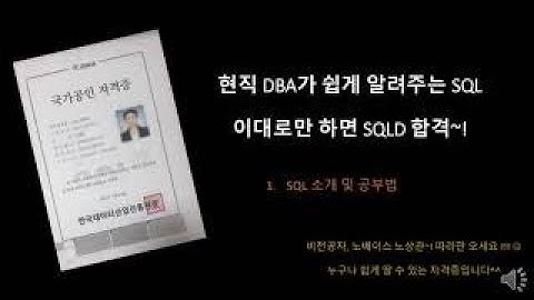 현직 DBA가 알려주는 SQL | SQLD 공부법 | 난이도 | 교재 | 꿀팁