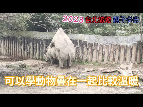 My 4kids 2023 Taipei台北旅遊-親子必去篇 貓空纜車 動物園