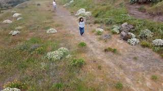 Primavera en Canarias