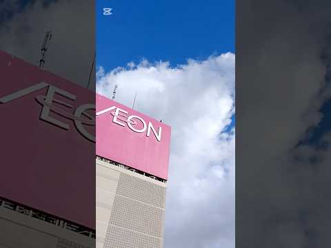 イオンで買い物をすればするほどお金が戻ってくる！？#株主優待#配当金