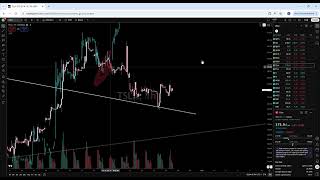 SIRI TSLA BBBY Earnings Cheat code
