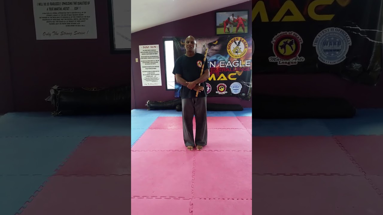 Escrema sticks basics, 1