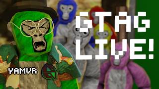 new gpu! #gorillatag #gorillatagquest #oculusquest #vr #gtag #virtualreality