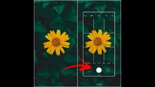 How To Make 3D Photo Flower Editing Mobile Editing Picsart