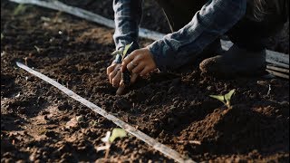 Farmshare Austin - We Grow Farmers!
