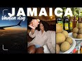 Moving back to jamaica  authentic jamaican living food drinks new restaurant  arianne styllz