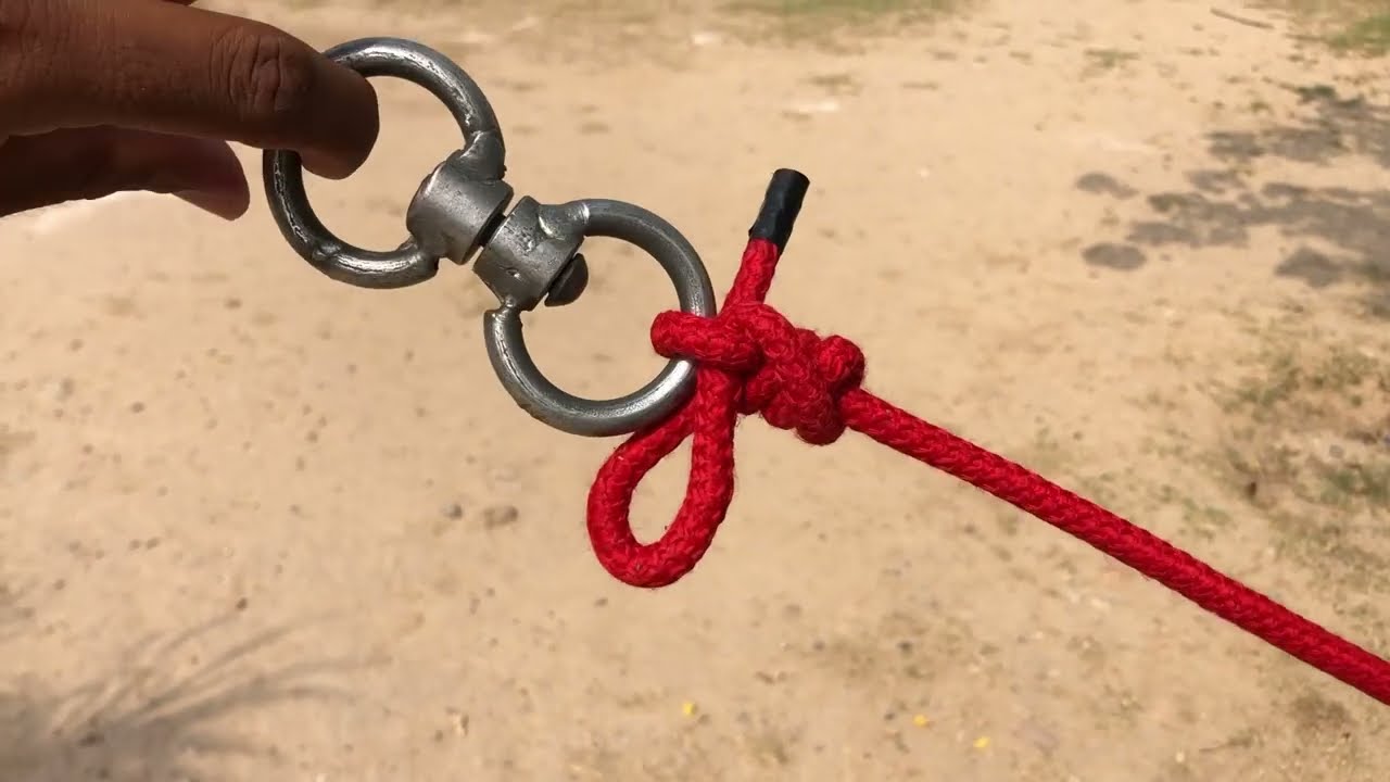 How To Tie The Animal Neck Ring knot 👌 - YouTube