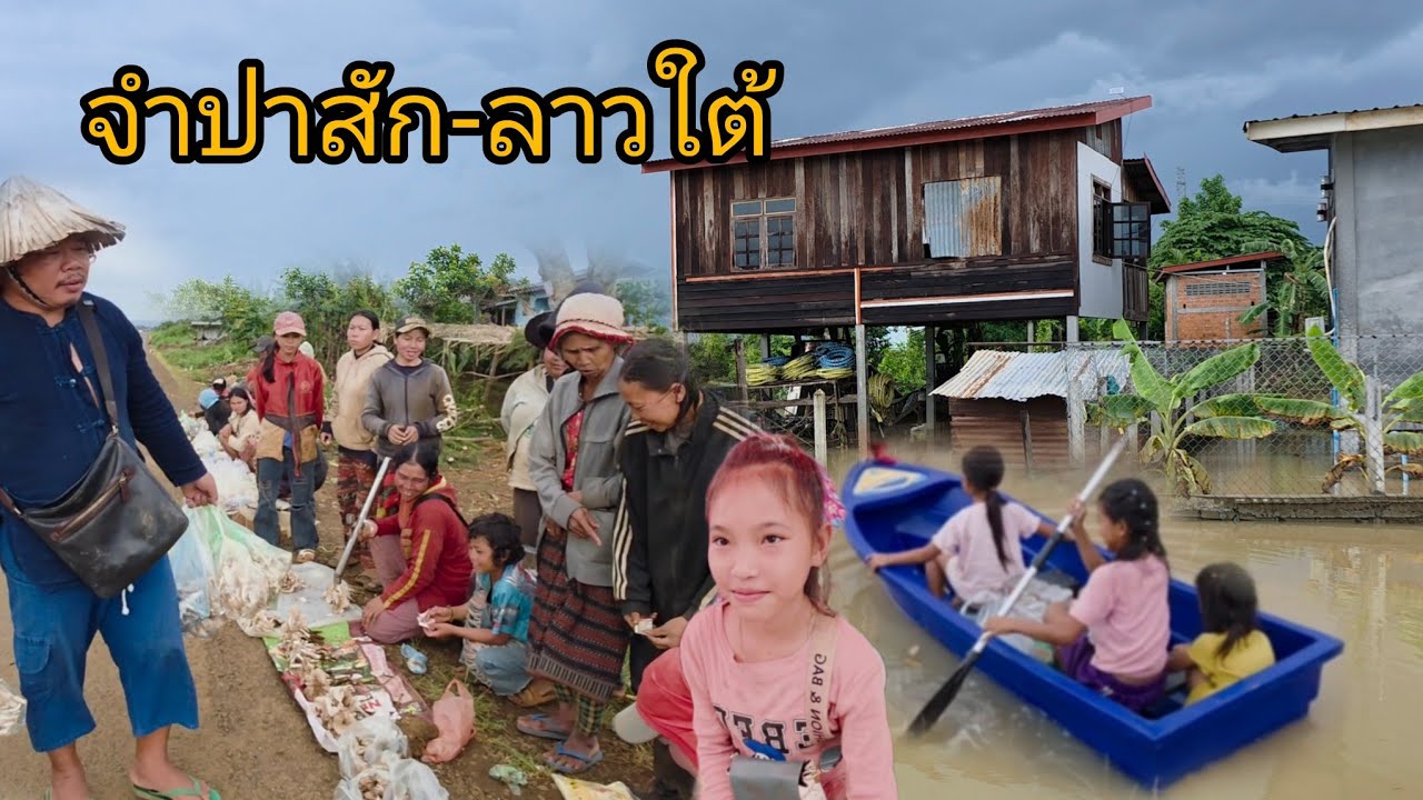 #เที่ยวลาวใต้ น้ำโขงขึ้นสูง หน้าฝนเห็ดปลวกออกเยอะๆพาชมตลาดหลัก14 #วิถีชาวบ้าน #อาหารตามฤดูกาล #funny