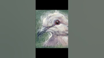 Painterly bird sketch in Procreate