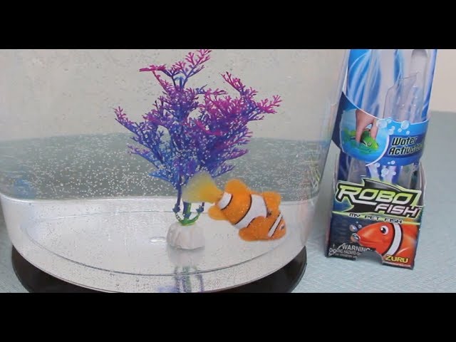 Robo Fish by Zuru - Detailed review - Watch this Robotic Clown Fish Swim in  a Fish Tank 