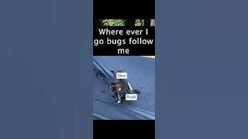 Bugs Always follows me 😔🤣 #shorts #funny #developer #coding #softwaredeveloper #trending #viralvideo