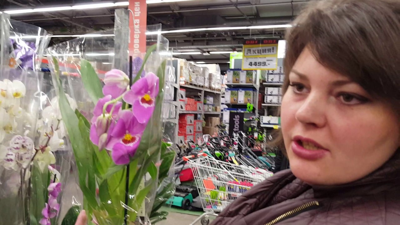 ОБИ МЕГА БЕЛАЯ ДАЧА перед 8 марта!!! На удивление огромный выбор! - YouTube