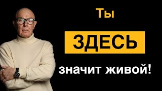 :   :       