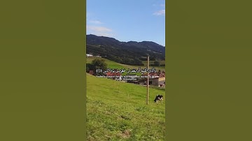سورة الشعراء الآية 78- 83  |  تلاوة مؤثرة #quran