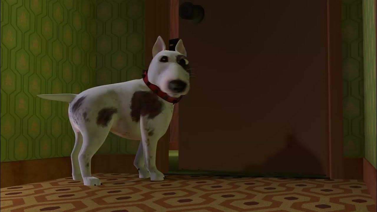 🤣 Dog jumping down stairs Space Capibara Memes SHORTS YouTube