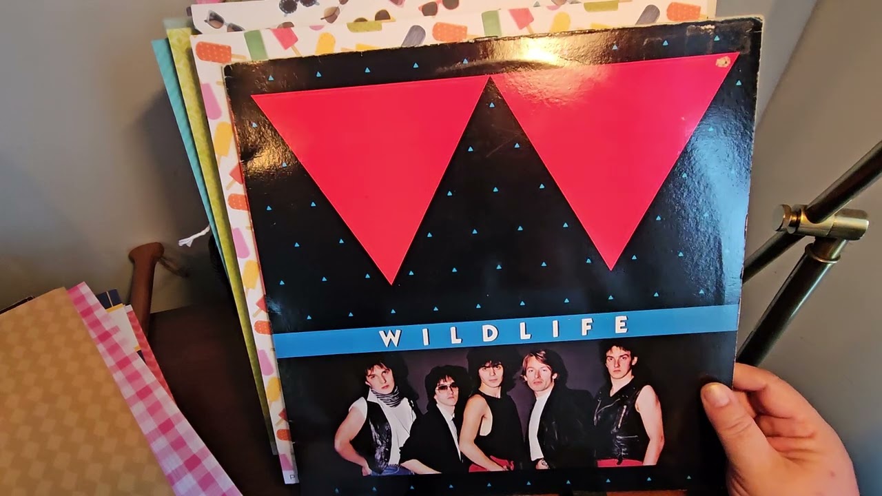 *Mod Maid's Mighty Maple Music presents record collecting haul in Ontario