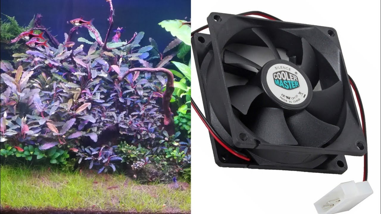 Как охладить воду в аквариуме. - YouTube