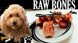 Large raw bones. give your dog a bone and let him enjoy being big bad
wolf! even the cutest fluffiest of pups will love to take on healthy
nutritious bon...