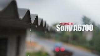 Sony A6700 Cinematic View | 4k Video Quality | Sigma 30mm F1.4