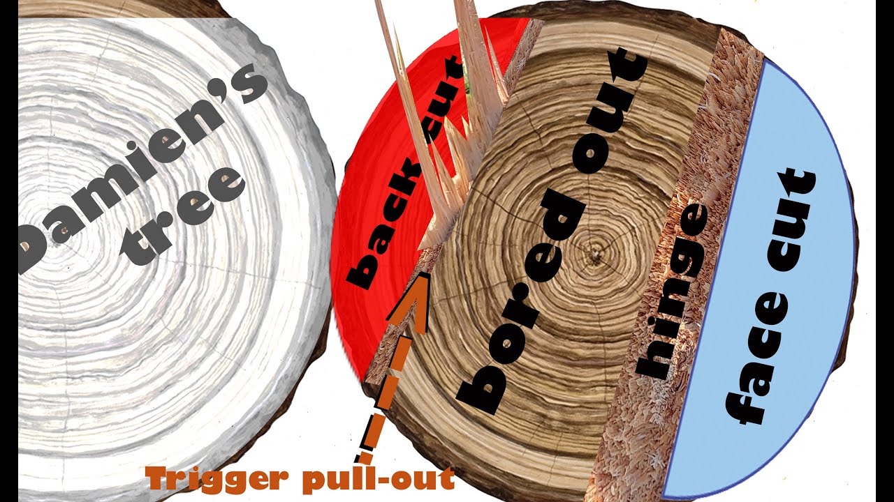 bore cut fell diagram 