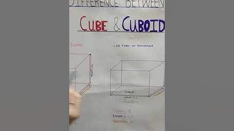 Difference Between Cube and Cuboid | Faces | Vertices| Edges|@MathDotCom(shorts)