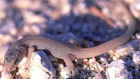 10 Interesting Scientific Discoveries for November 2025