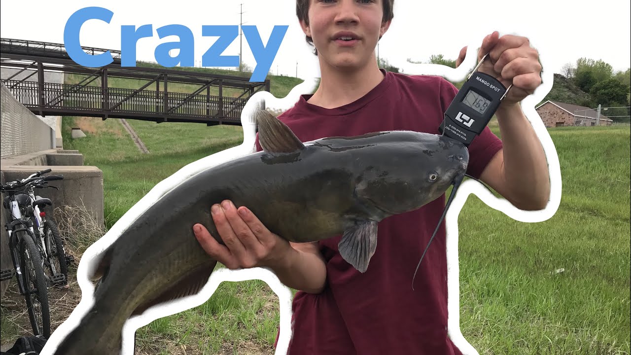 How to Catch MASSIVE Catfish With a Rock (Catch,Clean,Cook) YouTube