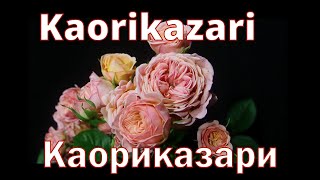 Как распускается роза Каоликазали - Kaorikazari (Keiji Япония, 2012)