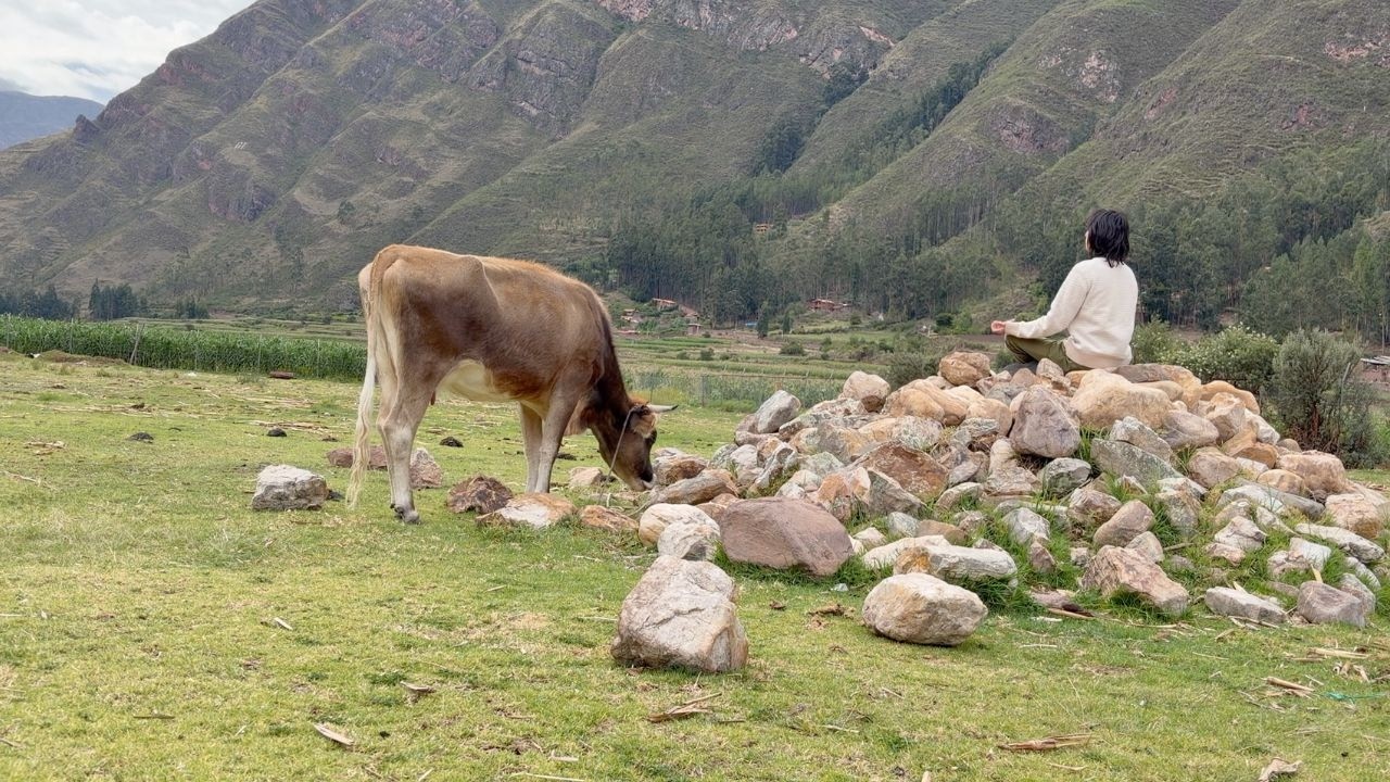 Meditación para empezar el día | 5 minutos de calma y claridad