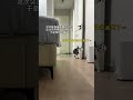 谁懂啊!她真的像个小盆友! #萌宠 #猫咪 #灵感菇