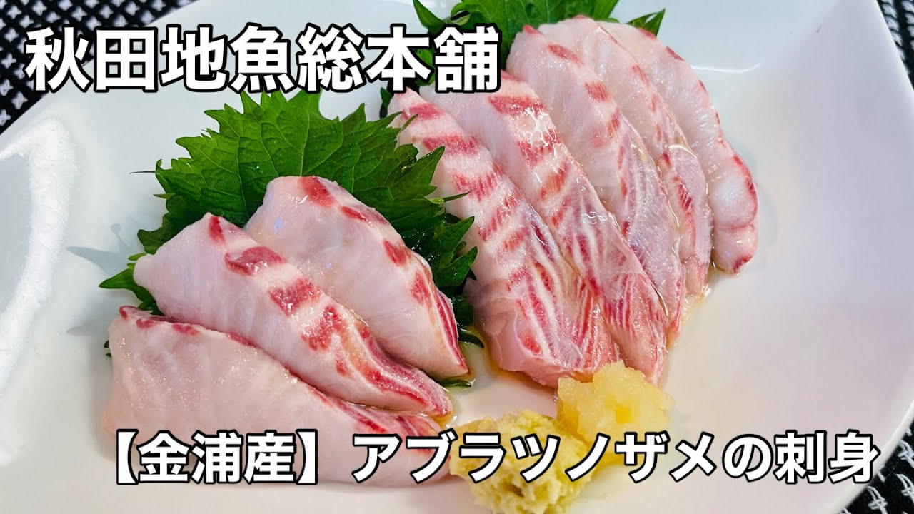  【金浦産】アブラツノザメの刺身 - YouTube Bildidee 