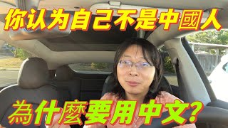 小粉紅反問台灣人，你不是中國人，為什麼還要用中文？我驚呆了，原來移民這麼容易。
