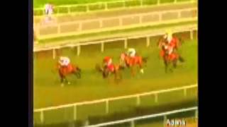 Dünyanın En İyi Sprintleri