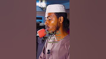 سورة الإسراء الشيخ عفيف محمد تاج #سورة #الإسراء #reels #tilawet #tiktok #الله #القرآن #quran #viral