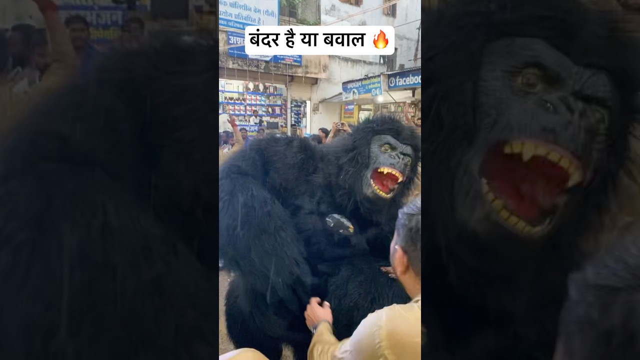 CRAZY GORILLA DANCE 🔥 