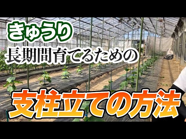 Cucumber] How to easily set up a support by just doing this - YouTube