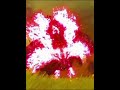  totk vs Botw@rashidamcneil208 #viralvideo #edit #totk #botw