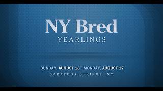 The 2026 Fasig-Tipton New York Bred Yearling Sale - Sunday Session